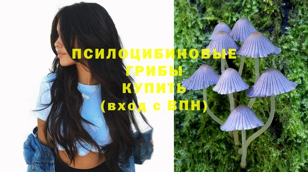 круглые Михайловск
